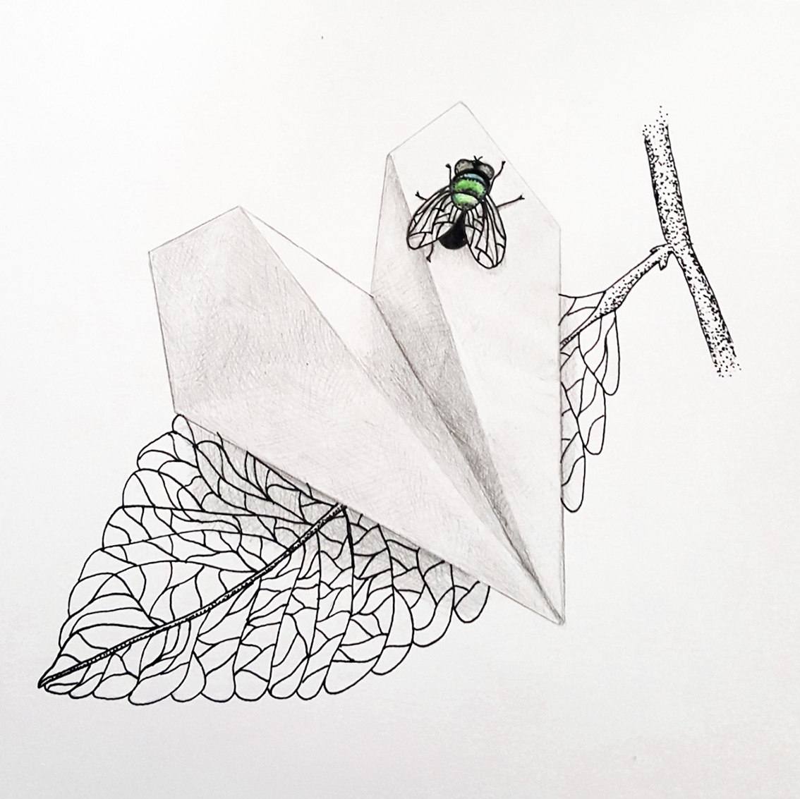 Fliege auf Blattpapierflieger